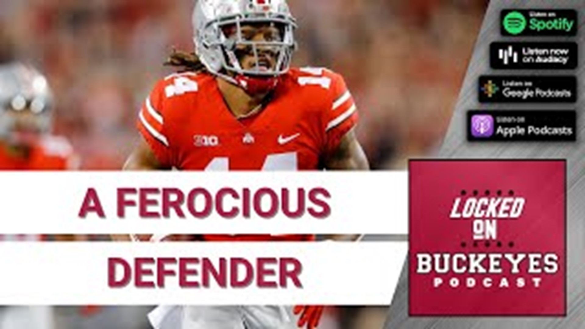 Hear what an NFL Draft analyst has to say about Buckeyes defensive back Ronnie Hickman.