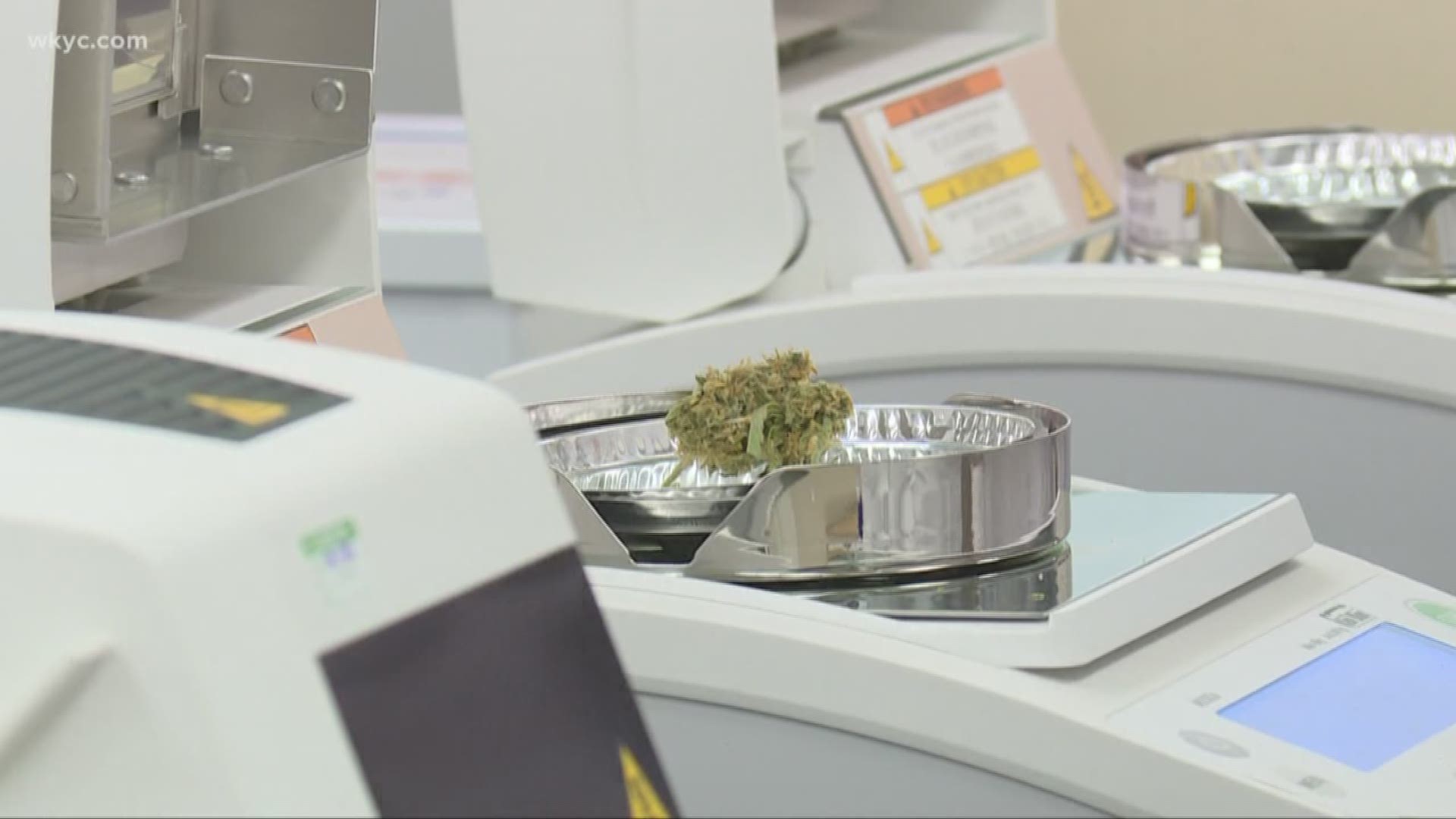 Inside a medical marijuana testing facility