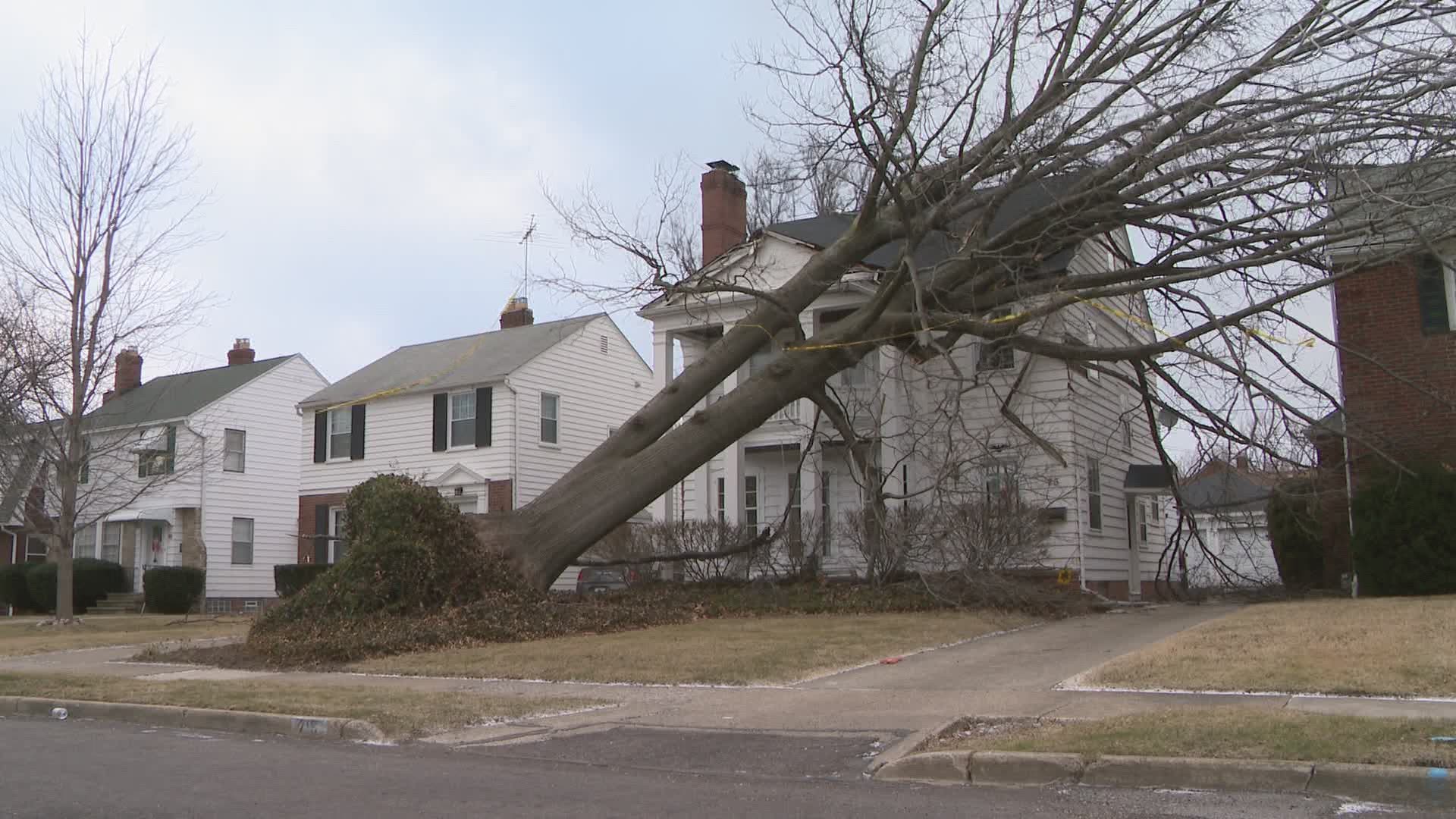 Feb. 25, 2019: Here's some of the damage our crews spotted after the relentless wind storm struck Northeast Ohio.
