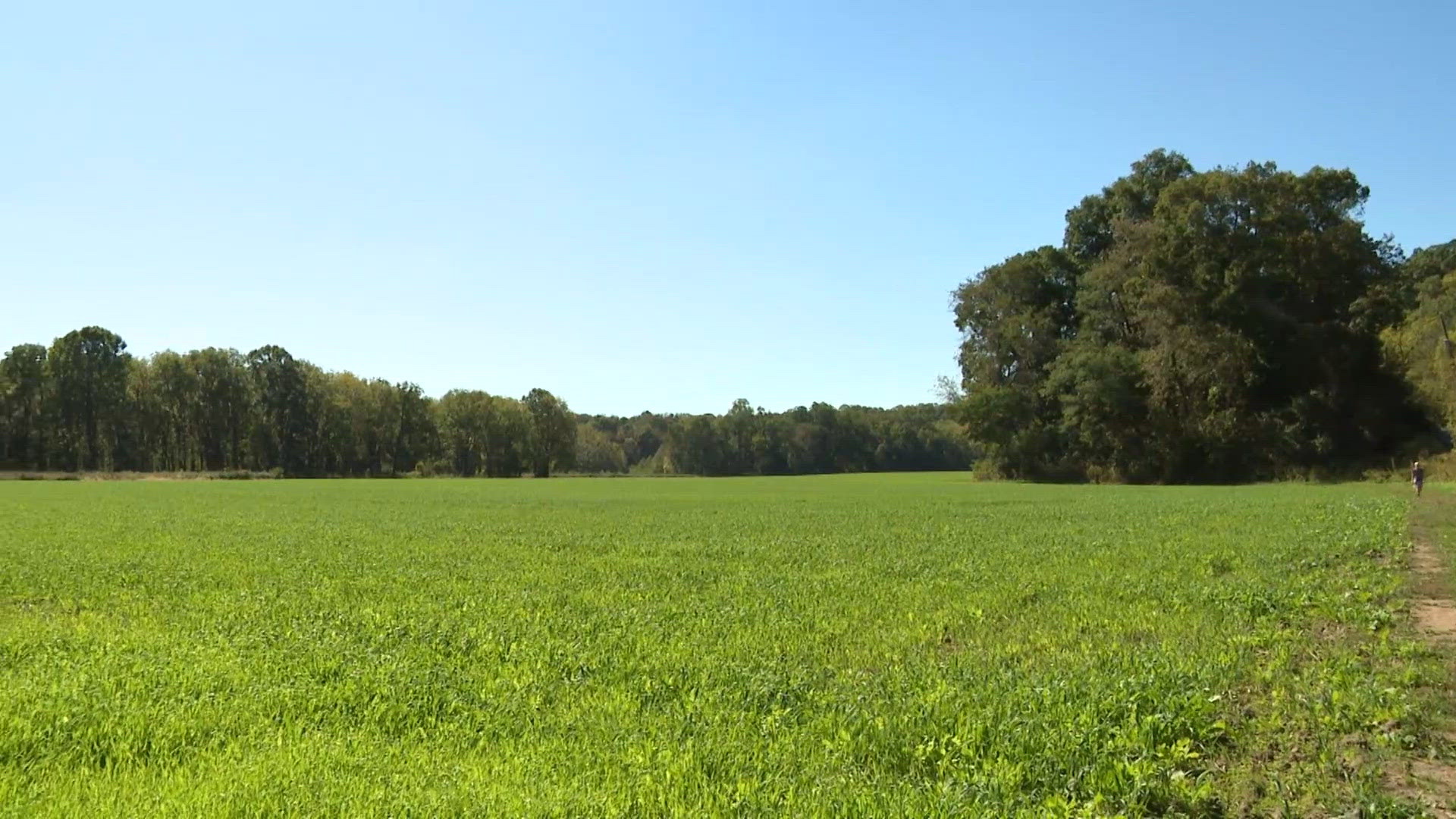 Native American relics found by Summit County Metroparks complicate ...