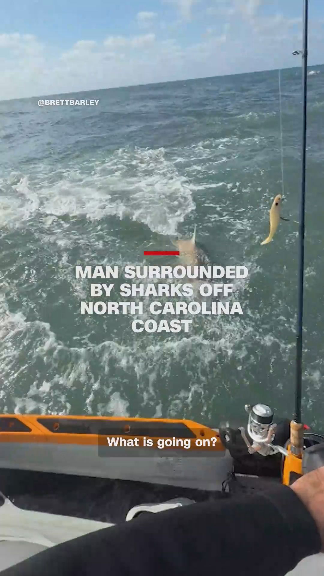 Man surrounded by sharks off North Carolina coast | wkyc.com