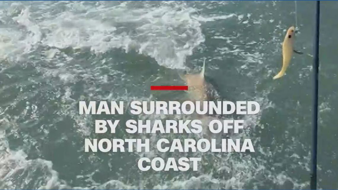 Man surrounded by sharks off North Carolina coast | wkyc.com