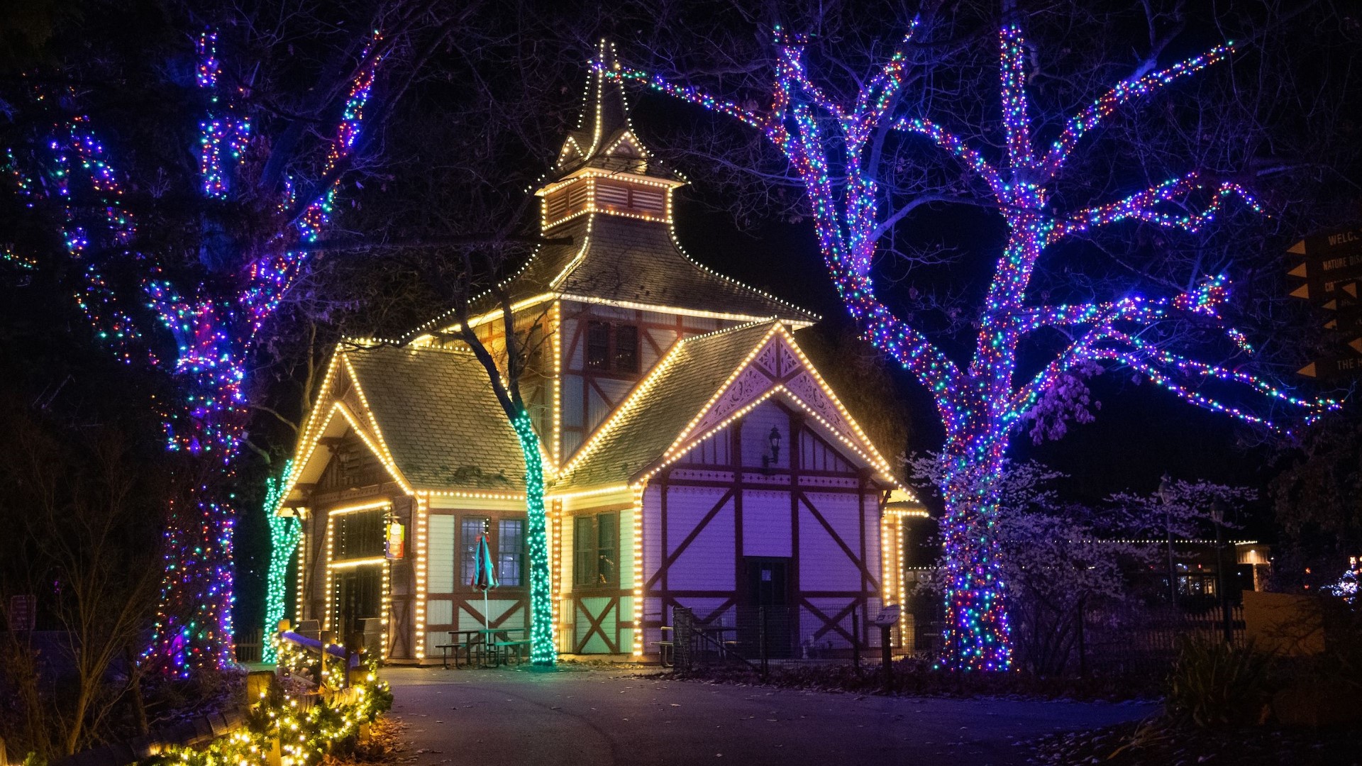 It's back! The Cleveland Zoo has announced the return of their Wild Winter Lights event for the 2021 holiday season.