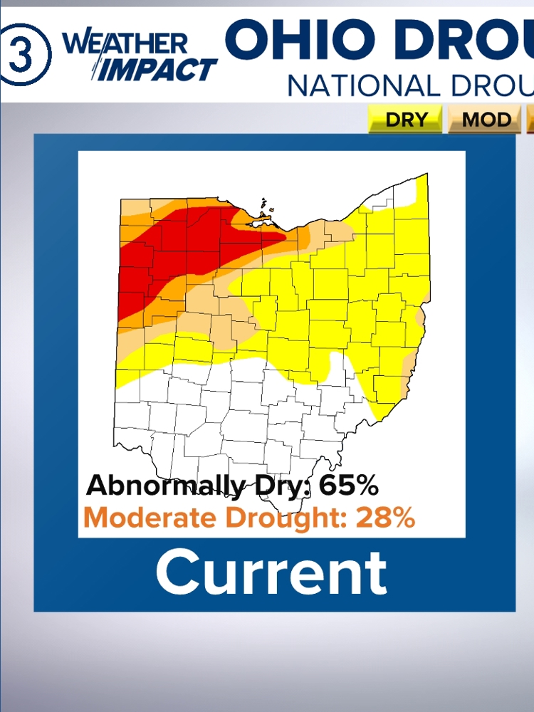 Drought eases in Northeast Ohio as rain quenches dry lands | wkyc.com