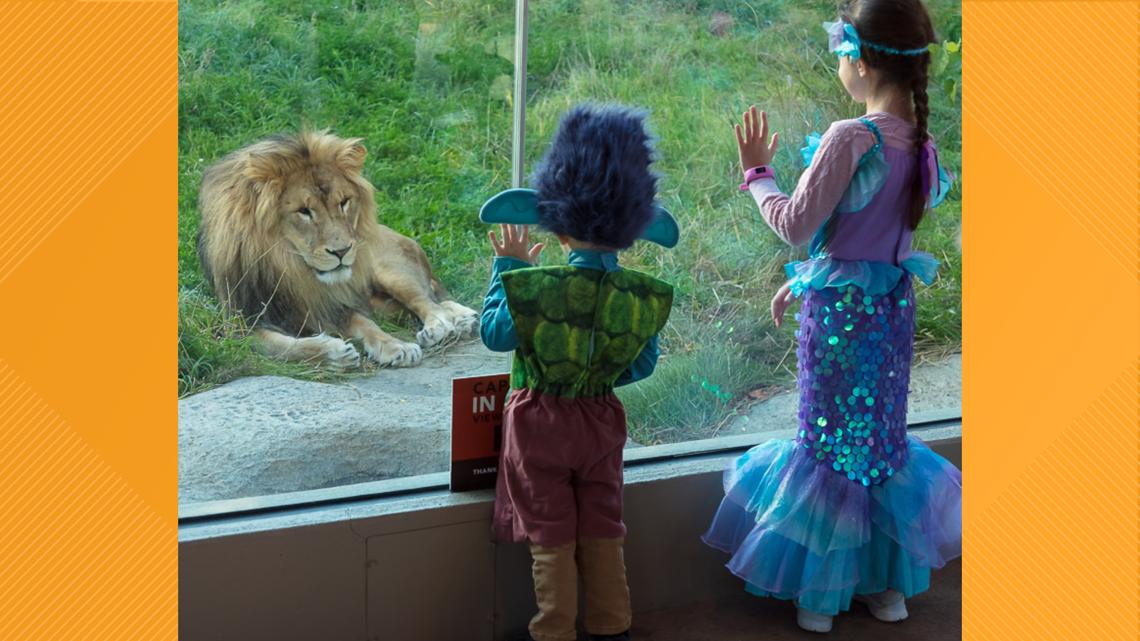 Boo at the Akron Zoo is back, how to get tickets