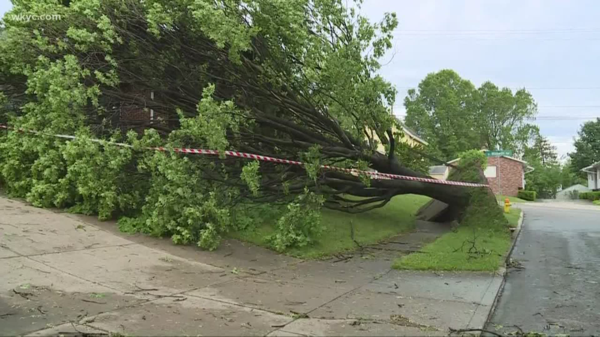 The storms downed power lines and uprooted trees, even through concrete.