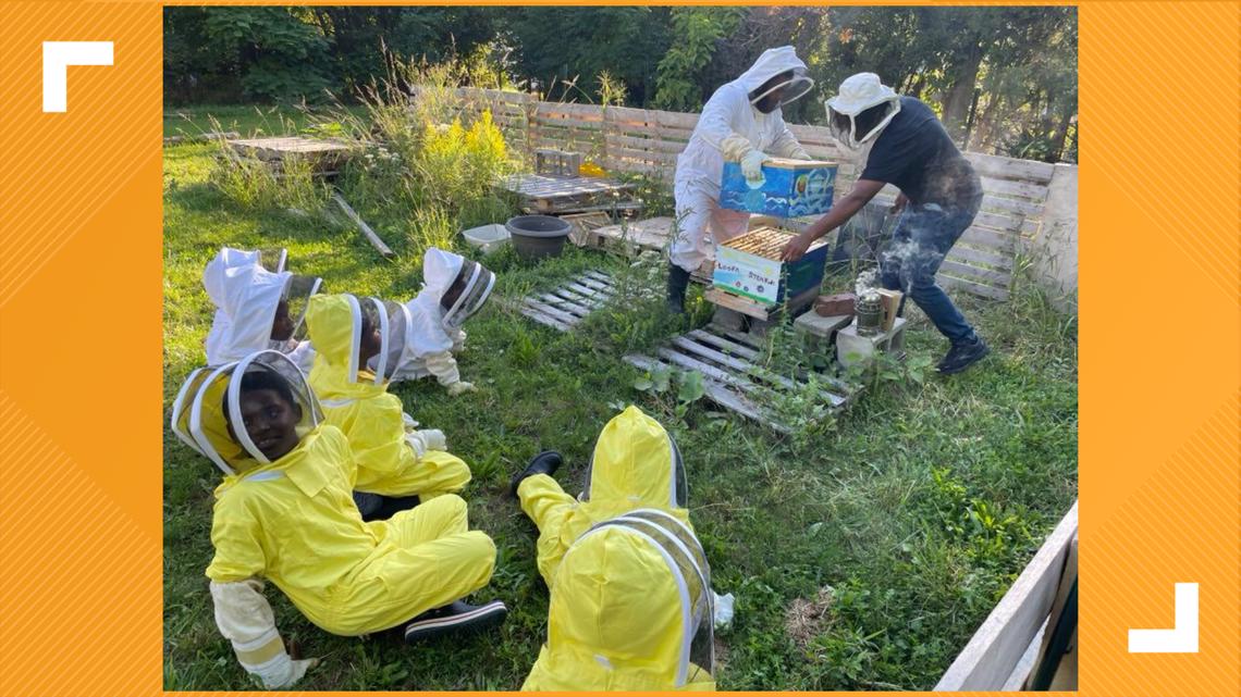 Ohio's backyard beekeeping is a-buzz