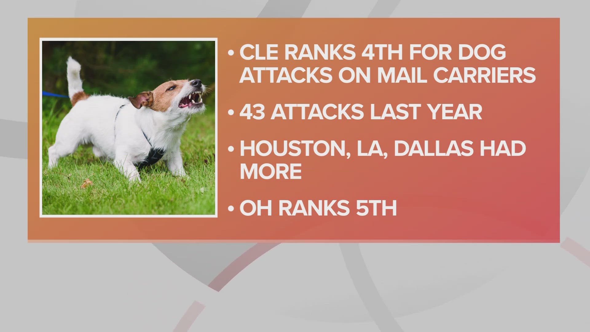 Ohio was 5th overall for dog attacks with 311 incidents involving USPS employees in 2022.