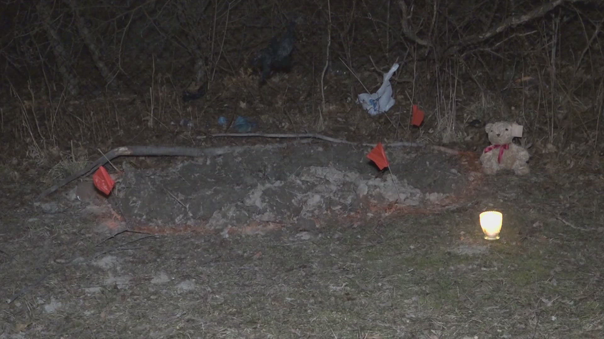 Woman arrested by Cleveland police after bodies of 2 young girls found ...