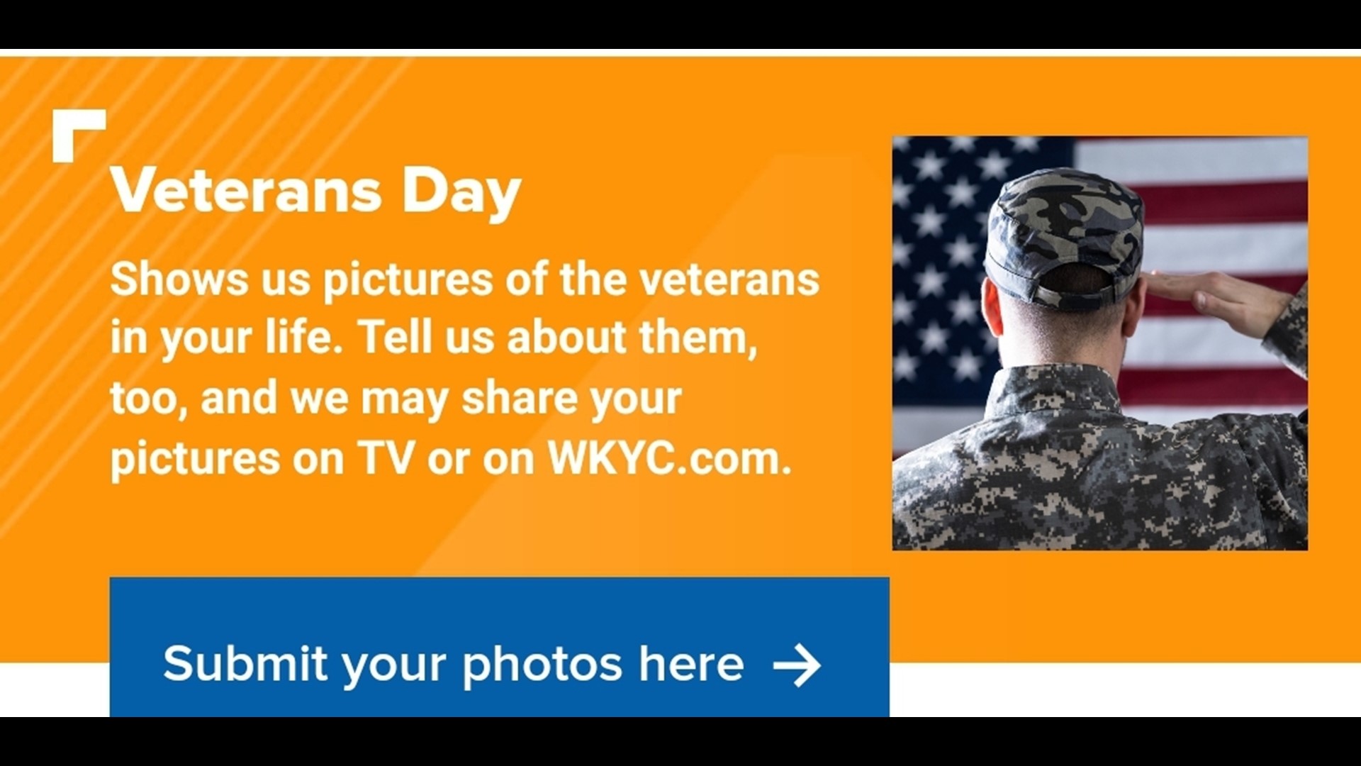 Veterans Day 2020 Saluting those who've served