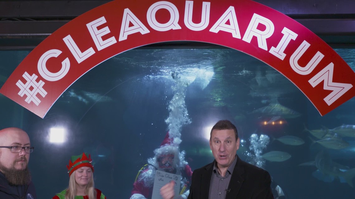 Cleveland Aquarium Virtual And On Site Lessons For Kids Wkyc