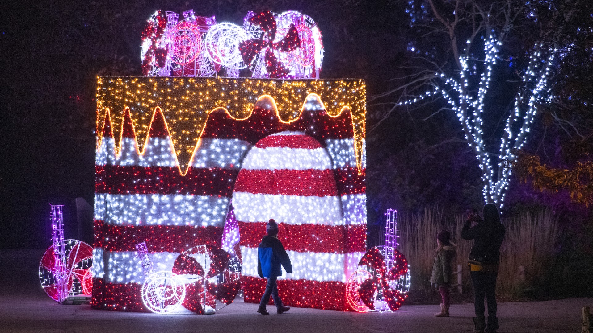 Wild Winter Lights includes more than 1.5 million lights across holiday-themed areas throughout the zoo.