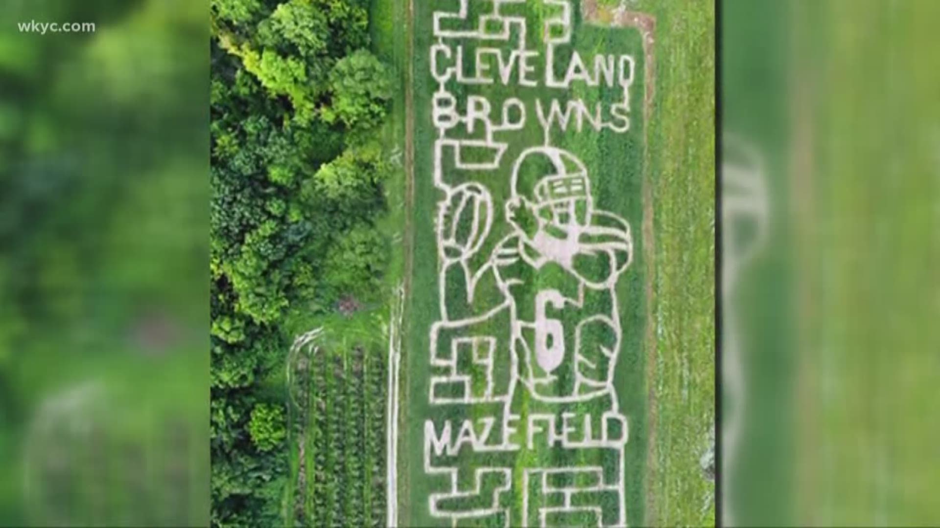 On Tuesday, the popular farm located in Brunswick unveiled its new corn maze: "The Mazefield," which pays homage to Cleveland Browns quarterback Baker Mayfield.