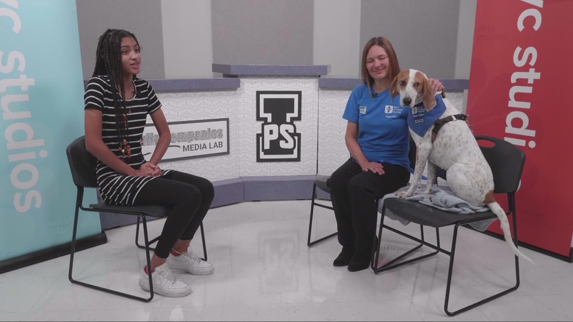 3 questions: I PROMISE student speaks with member of Akron Children's Hospital's Doggie Brigade