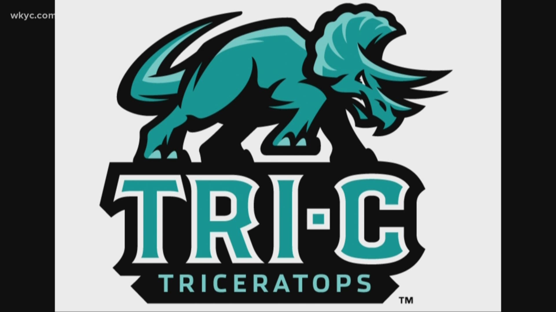 The "formidable yet likable" logo feature's the school's trademark teal coloring.