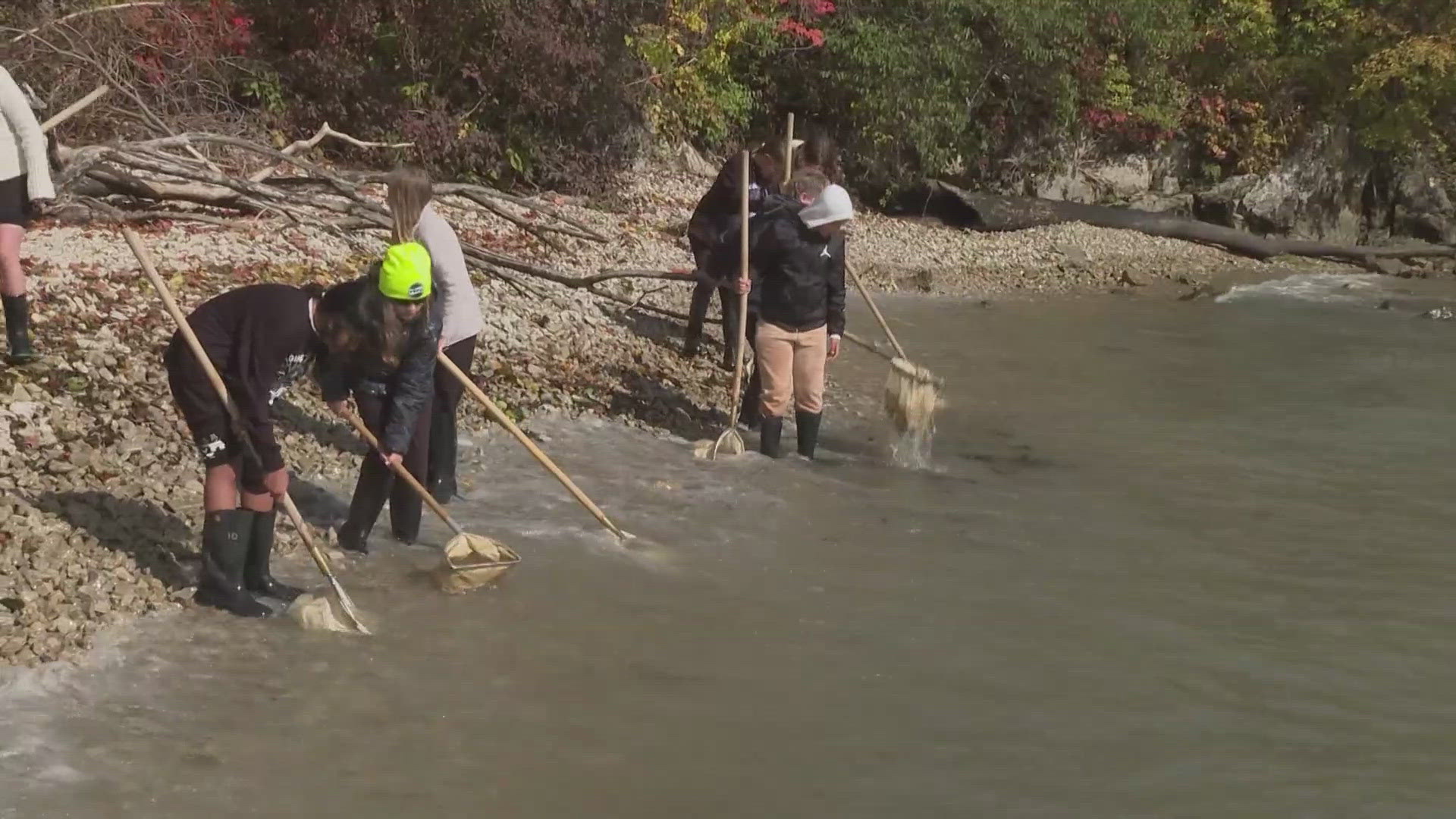 There are many different environmental science careers surrounding Lake Erie. Hundreds of local fifth-grade students became scientists for a day at Stone Laboratory.