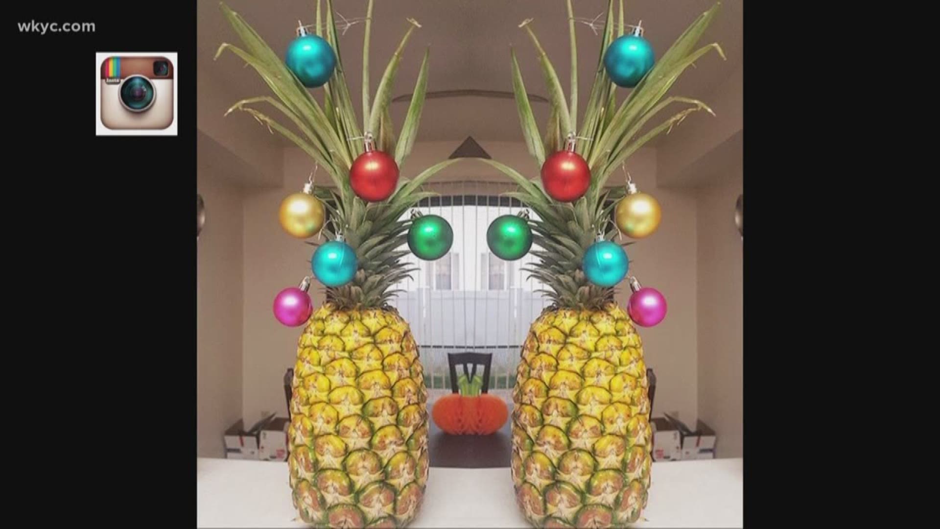The Pineapple Christmas Tree, a new favorite holiday tradition