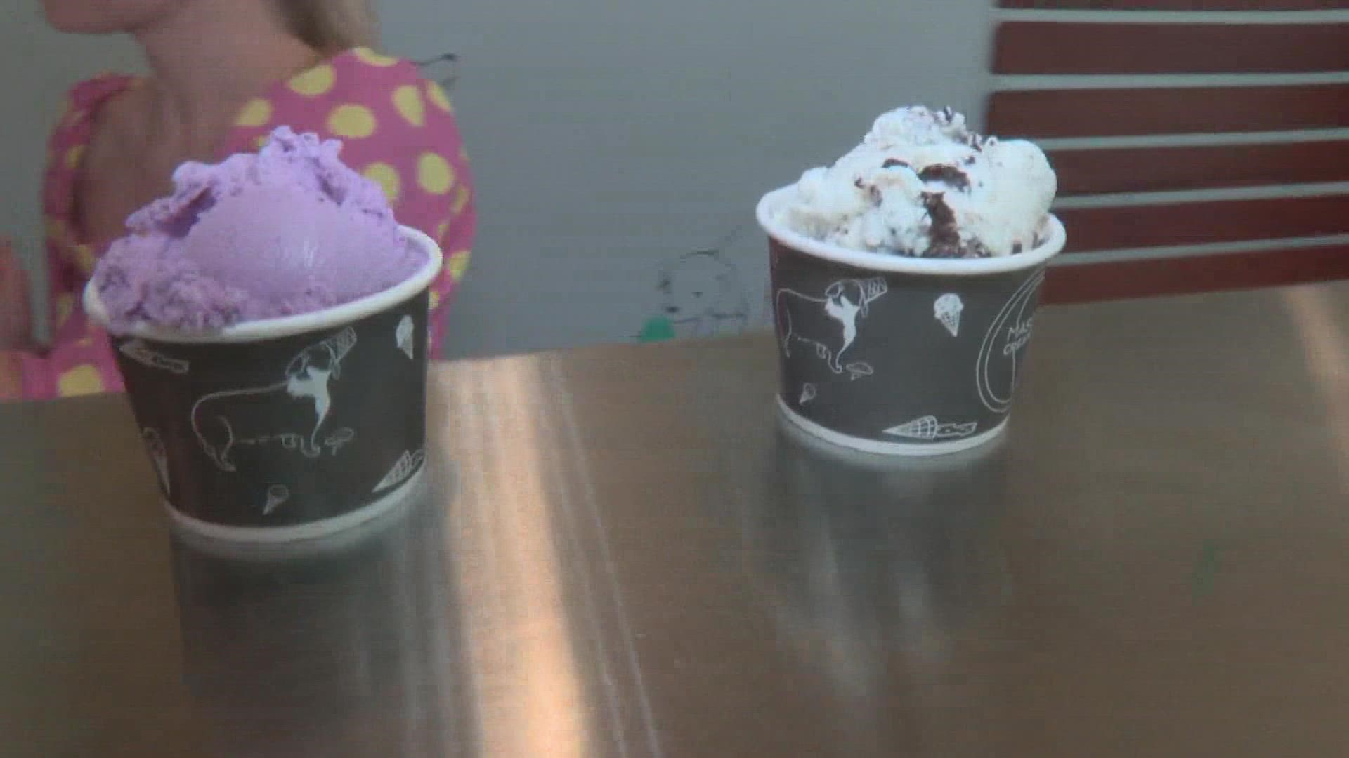 Try These Awesome Ice Cream Shops In Northeast Ohio - Lost In Laurel Land