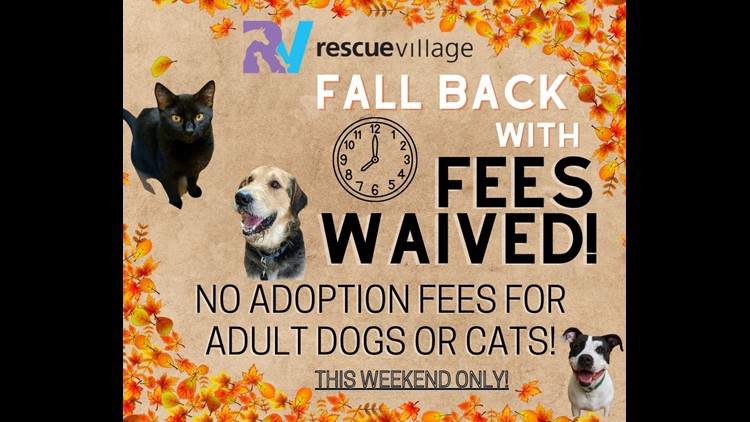Rescue Village in Geauga County waives adoption fees for this weekend