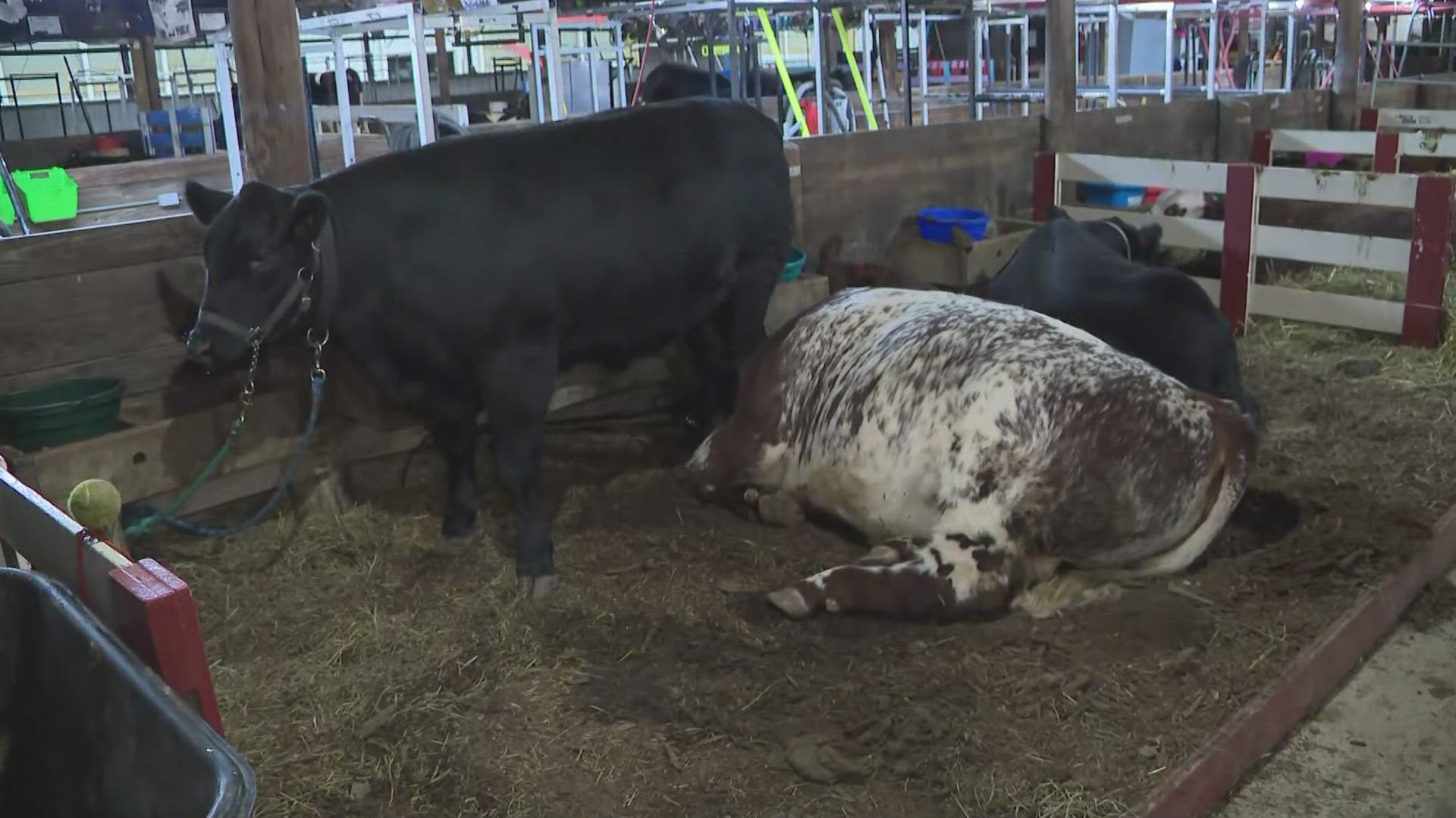 The Lorain County Fair is now underway through Aug. 25. 3News' David Greenberg is there to get a sneak peek at what you can expect.