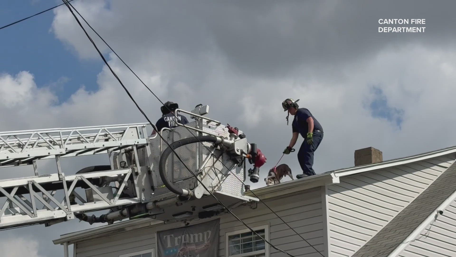Canton firefighters rescue dog named Lucky from house roof | wkyc.com