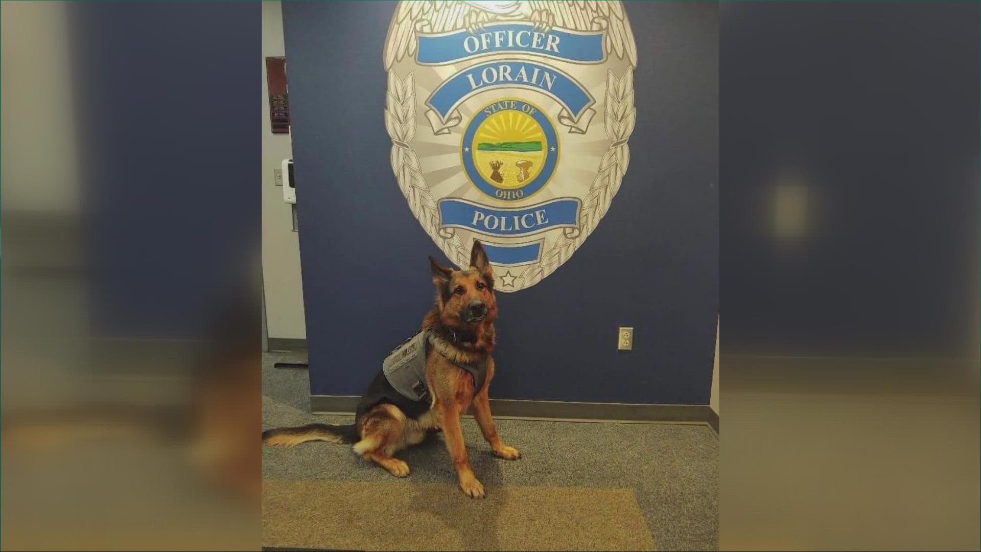 K9 Rye was treated at Animal Clinic Northview and sent home on Sunday.