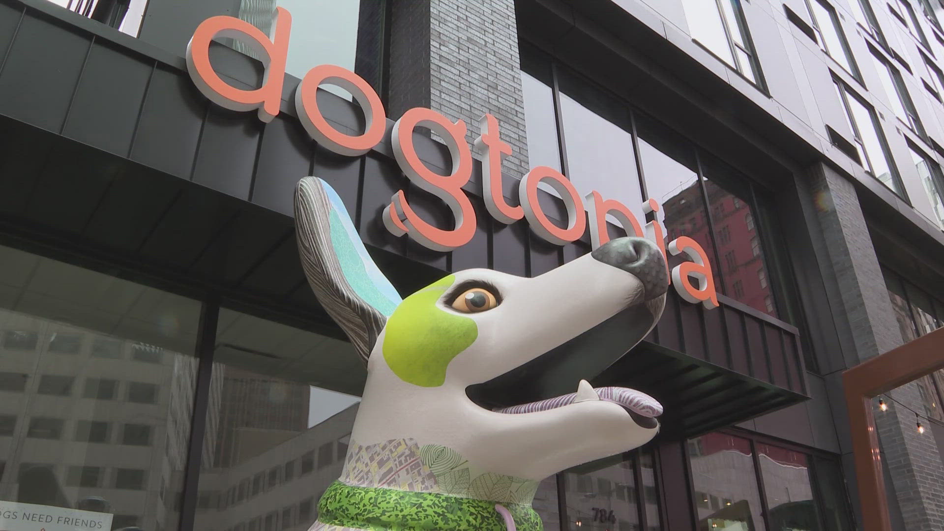 North America's largest business specializing in doggy daycare, overnight boarding and spa services is about to open its first location in downtown Cleveland.