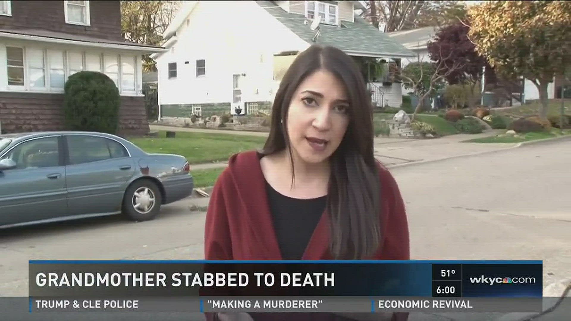 Grandmother stabbed to death