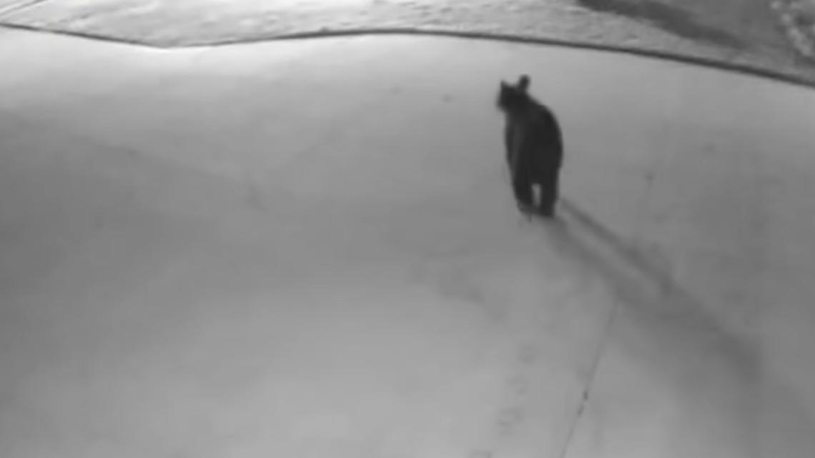 Brewing Locally Image