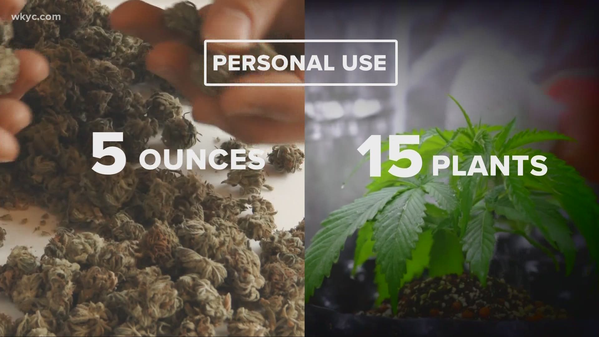 Some Democratic lawmakers are ready to make recreational marijuana use legal in Ohio. A bill is set to be introduced next week. Brandon Simmons has the details.