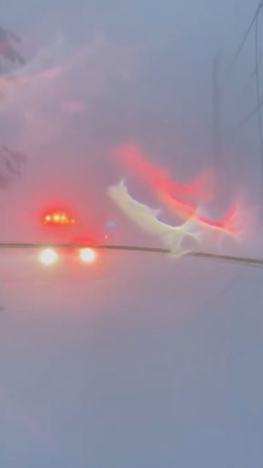 Downed power line during record breaking blizzard in Massachusetts ...