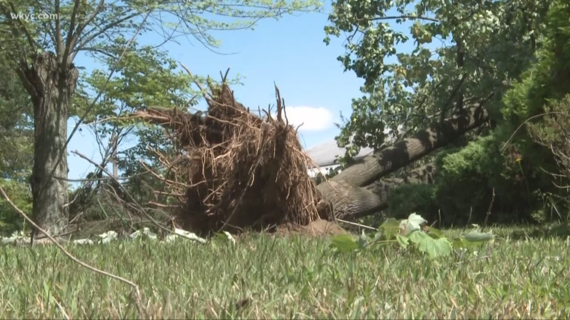 The storms left plenty of damage in Summit County, including trees falling on top of homes, and downed power lines.