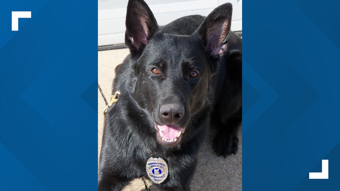 Vermilion Police Department K-9 dies | wkyc.com