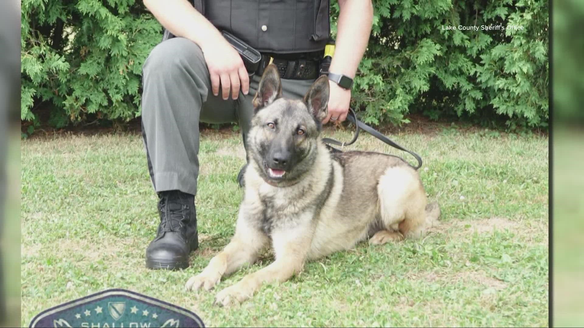 Ryker has helped make multiple drug-related arrests in his first few days on the job.