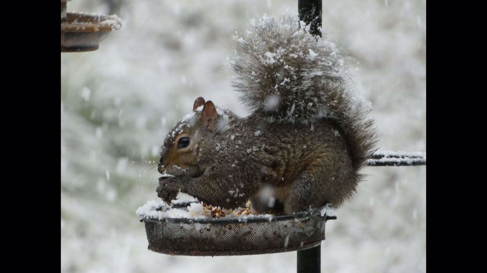 PHOTOS: Viewer Pics From The First Snow Of The Season! | Wkyc.com