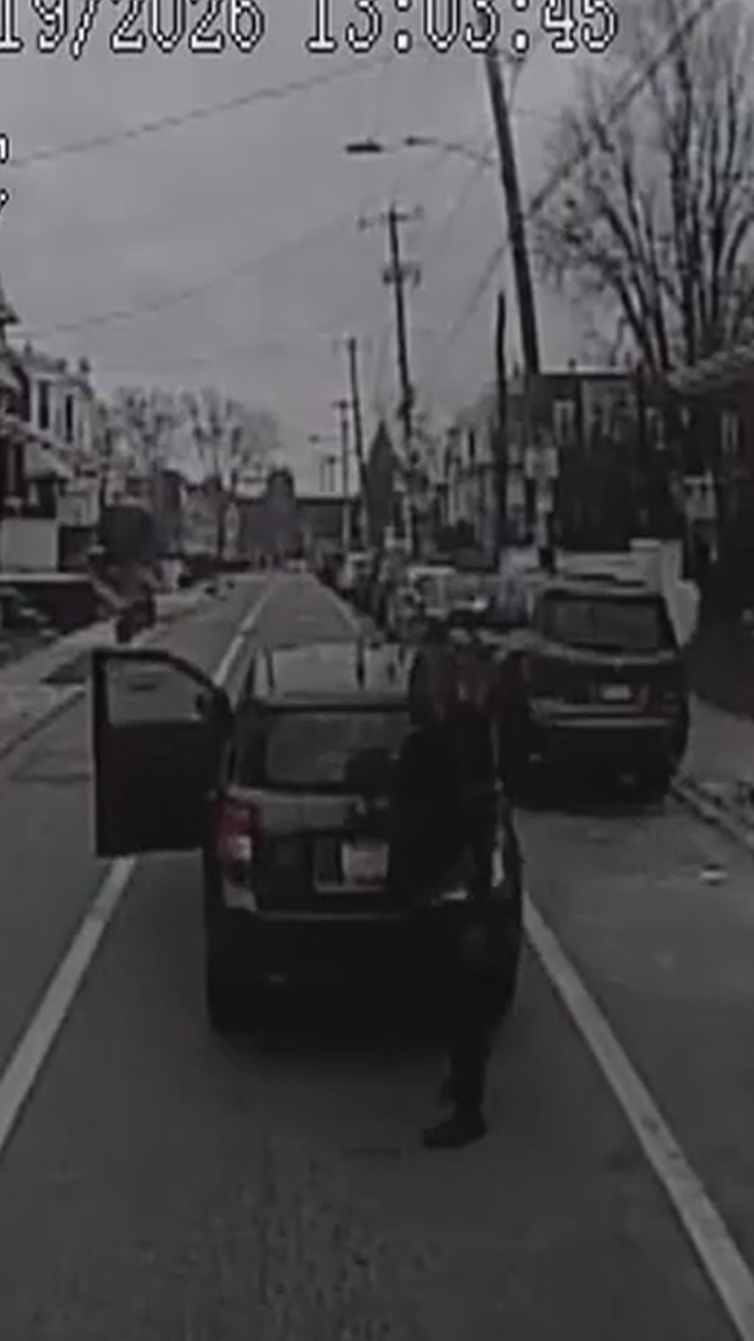 Dog thief caught on camera putting homeowner's dog into vehicle in ...
