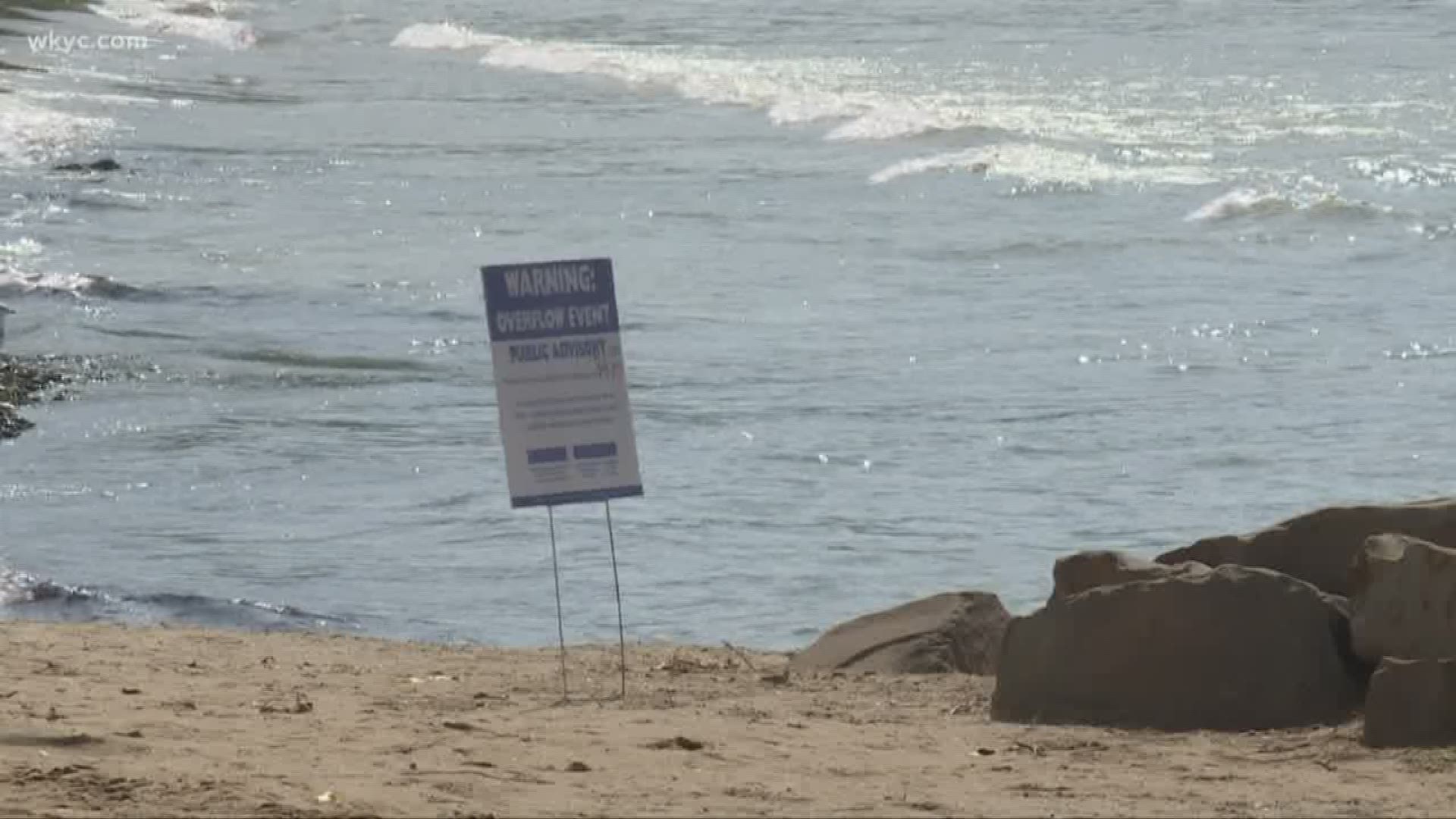 Edgewater Beach Conditions Safe For Swimming Ahead Of Usa