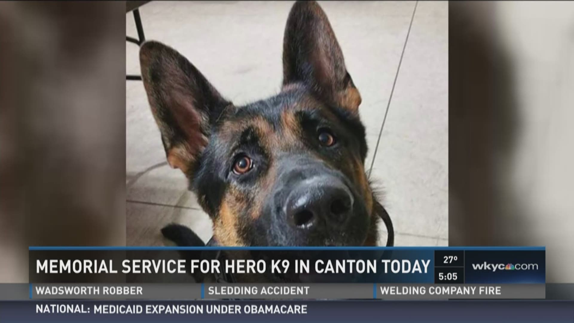 Jan. 14, 2016: A memorial service will be held today for Jethro, the Canton K-9 killed in the line of duty. WKYC's Tiffany Tarpley has the story. Be sure to follow @TiffanyTarpley on Twitter for loads more daily news updates.