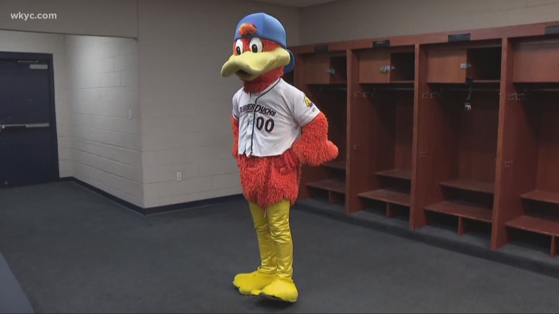 Akron Rubberducks holding auditions to hire team mascots