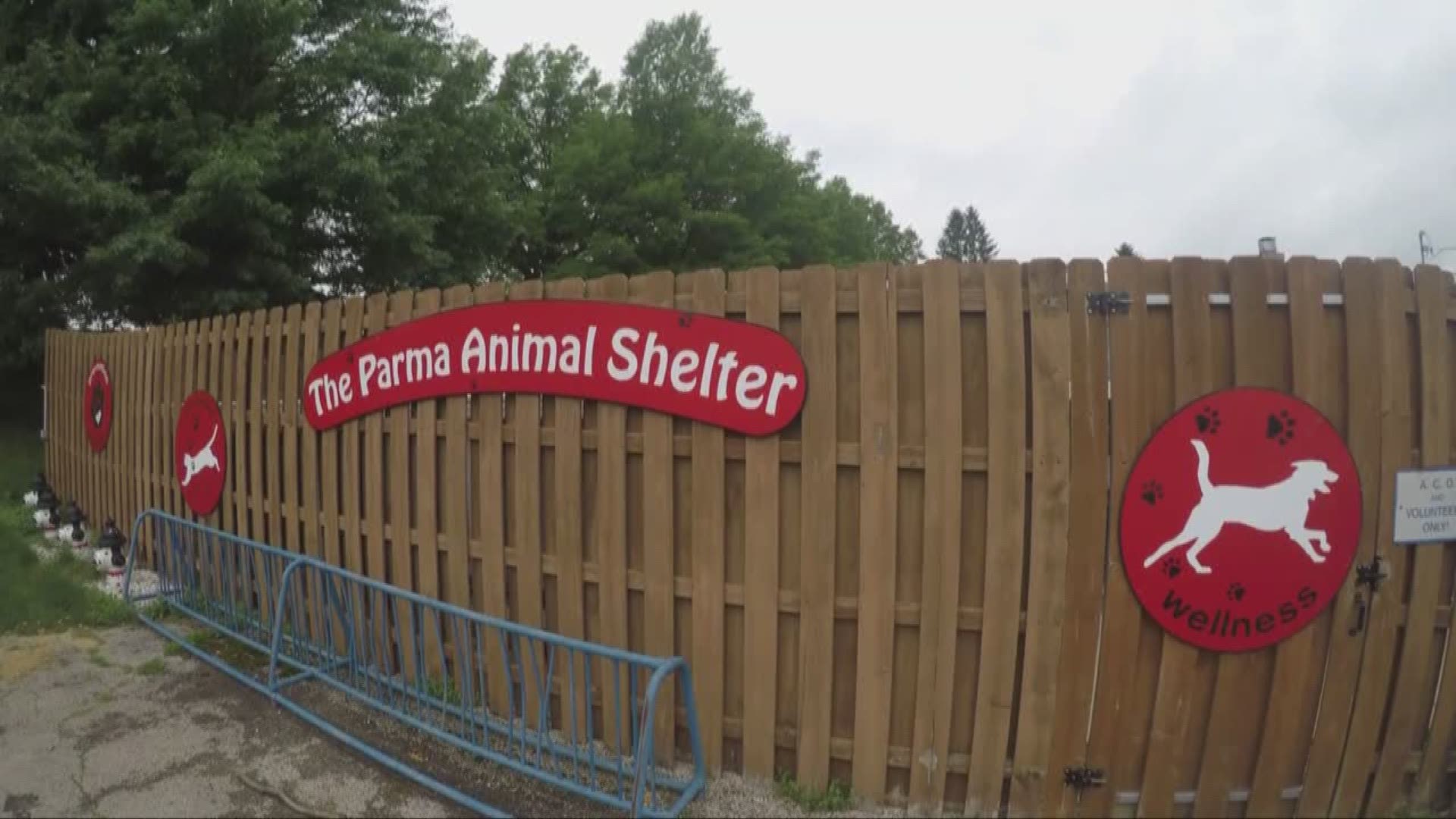 Two local shelters are closed: Should dog owners be concerned?
