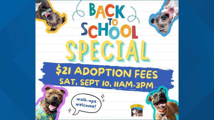 City of Cleveland kennel reducing adoption fees this weekend