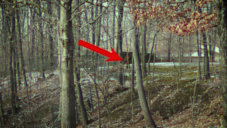 Creature resembling Bigfoot caught on camera walking across