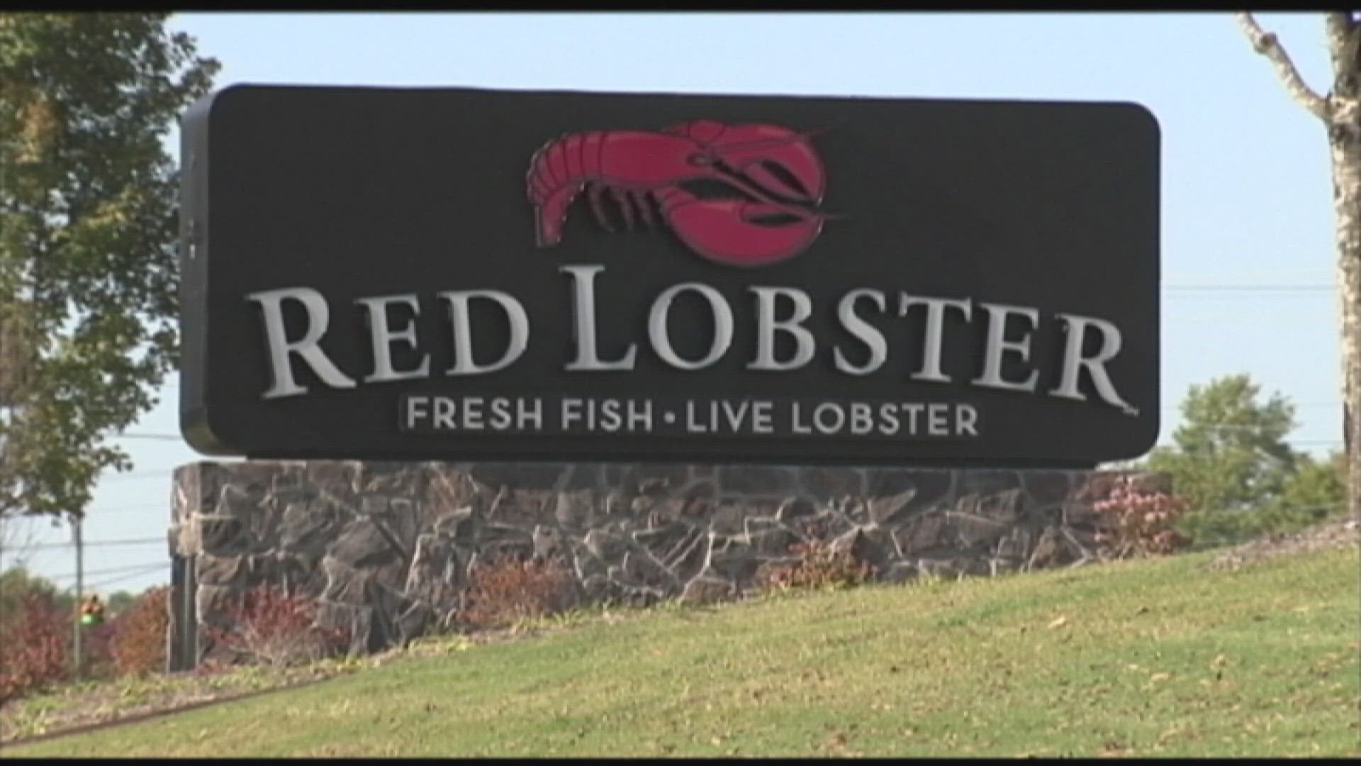 New bankruptcy documents revealed dozens of Red Lobster locations that could be on the chopping block.