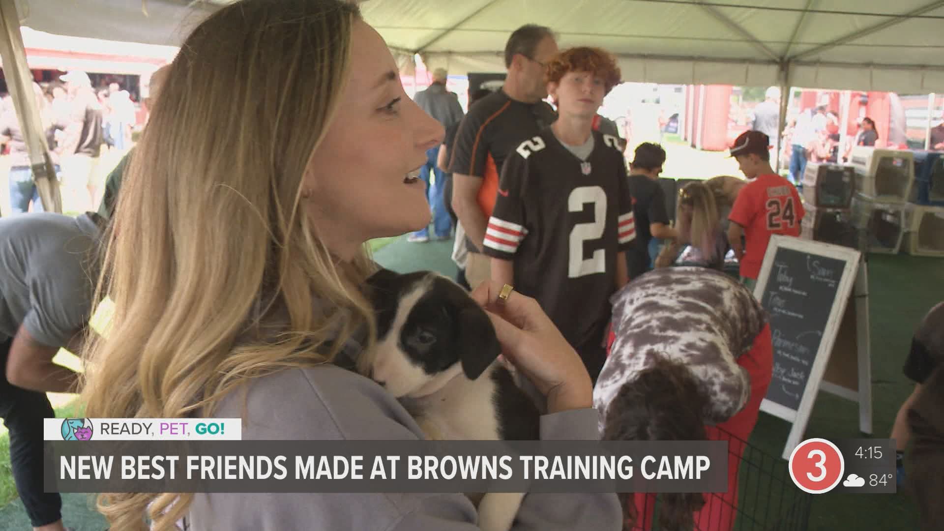 Since 2015 more than 700 puppies have found homes thanks to the Puppy Bound at Browns training camp.