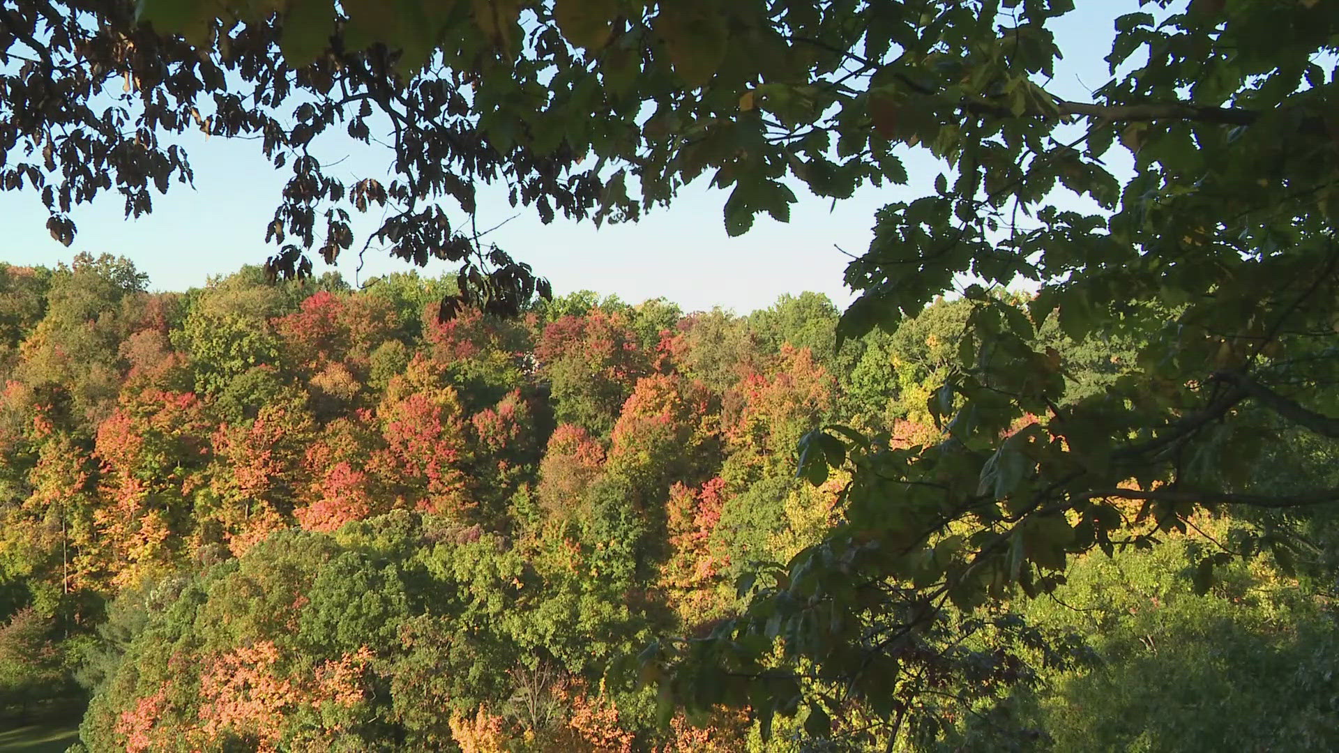 3News' David Greenberg visited some of the best spots in Northeast Ohio for fall foliage.