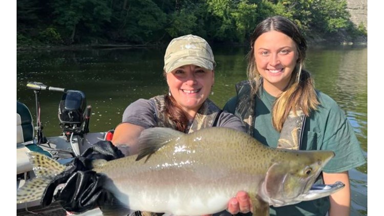 Rare pink salmon caught by Cleveland Metroparks crew in Rocky River