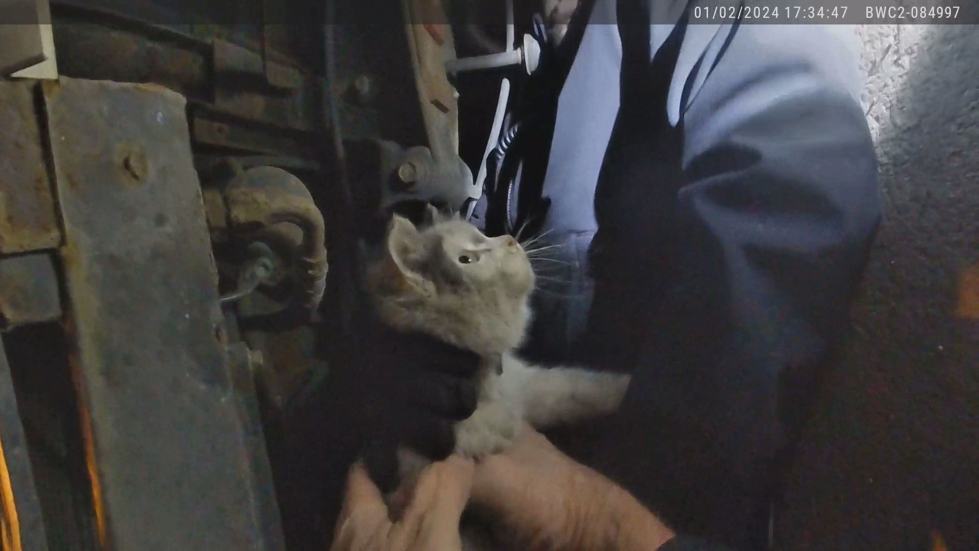 The kitten, now named Opal, was trapped inside a shuttle bus on Tuesday. She is now living with a UCPD dispatcher.