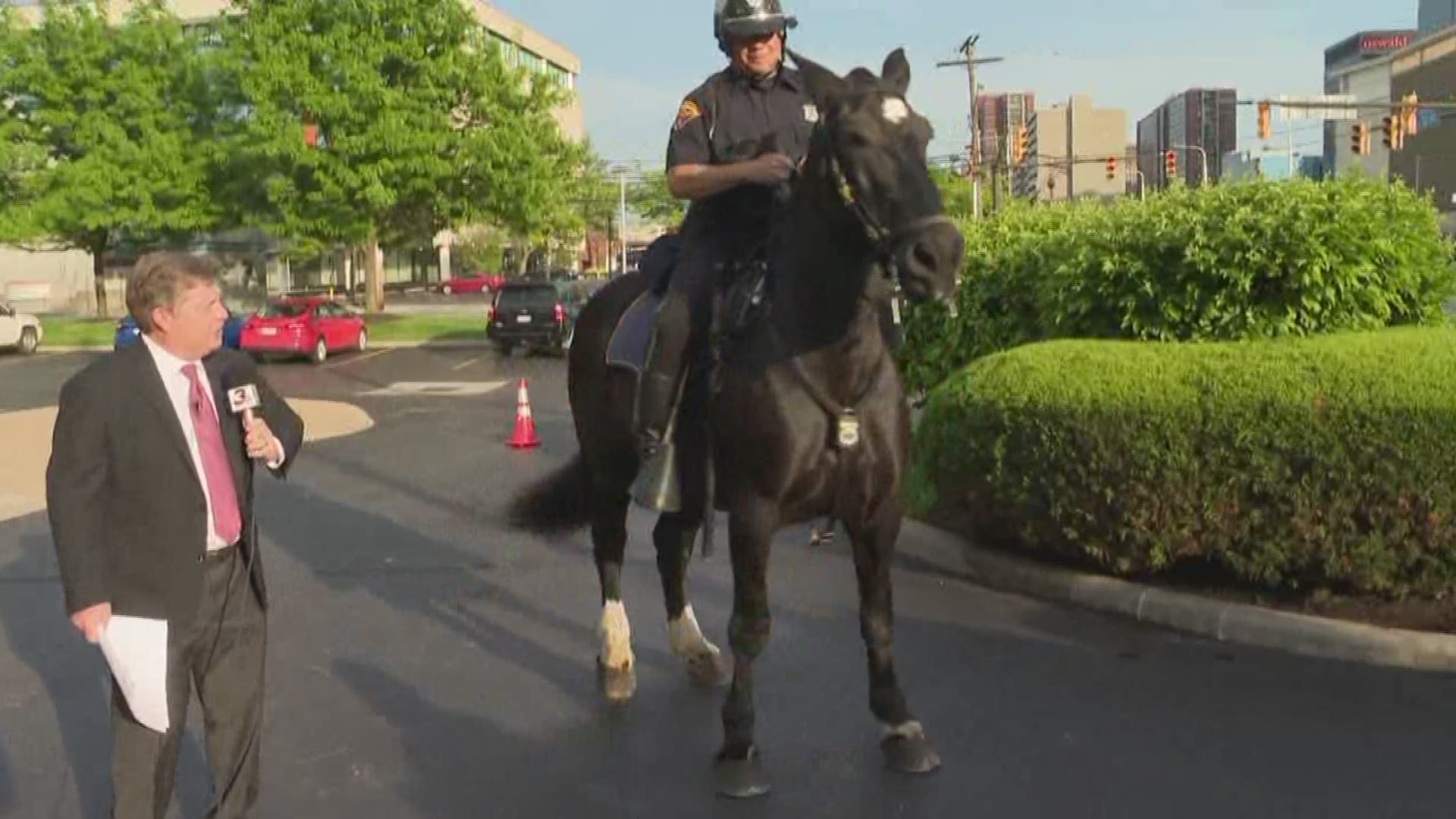 Dancing Cleveland Police horse makes visit to Donovan Live