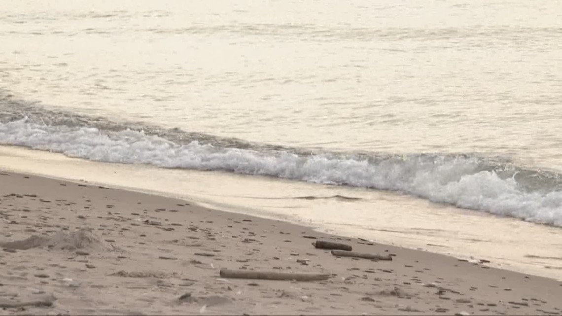 Body washes up on Lake Erie coastline