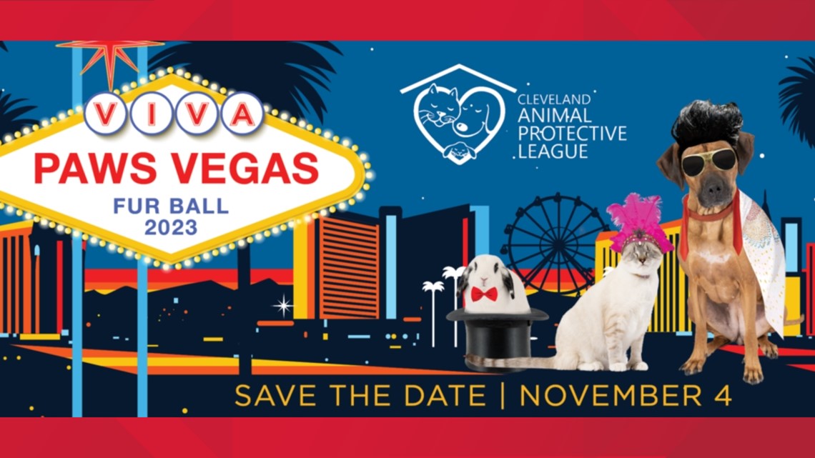 Las Vegas Animal Save